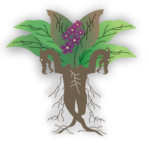 Dragora icon