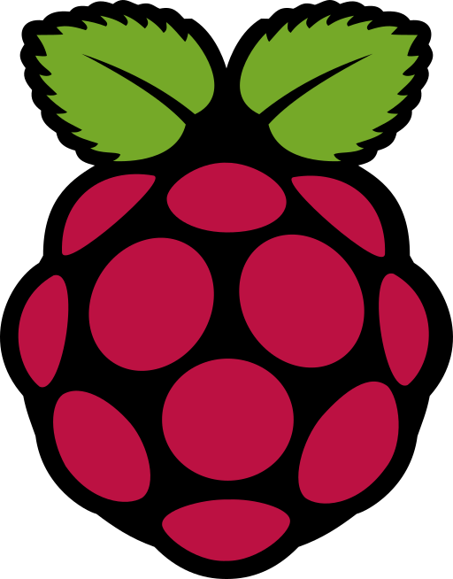 Raspberry Pi OS icon